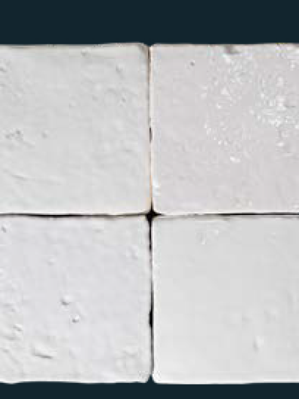 E20